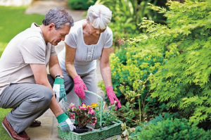 Gardening for Exercise