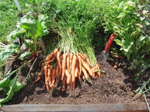 Square Foot Gardening Seed Mat