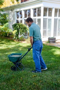 Spreading WOW Lawn Treatment