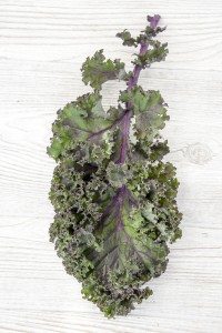 Kale Leaf