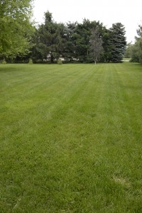 WOW Treated Lawn