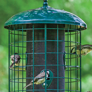 Caged Bird Feeder