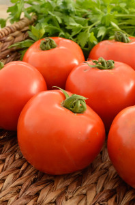 Husky Red Tomato