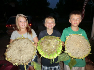 Young gardeners are a huge part of what makes our community garden come together.