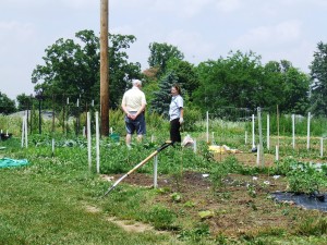 Tipp City Community Gardening