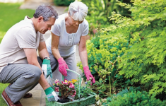 Gardening for Exercise