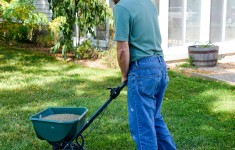 Spreading WOW Lawn Treatment