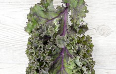 Kale Leaf