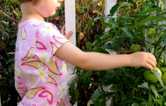 Kids gardening