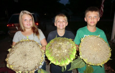 Young gardeners are a huge part of what makes our community garden come together.